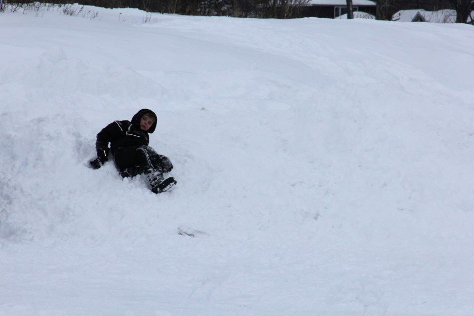 USED 2019-02-28goodmorning  3 Sliding without a sled. Photo by Brenda Turl for BayToday.