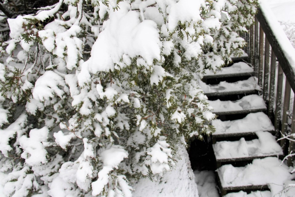 USED 2019-02-7goodmorning  4 Stairway to the lake. Photo by Brenda Turl for BayToday.