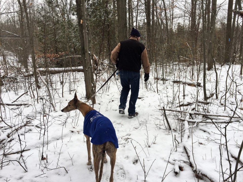 USED 2019-02-7goodmorning  6 Walking the dog. Photo by Brenda Turl for BayToday.