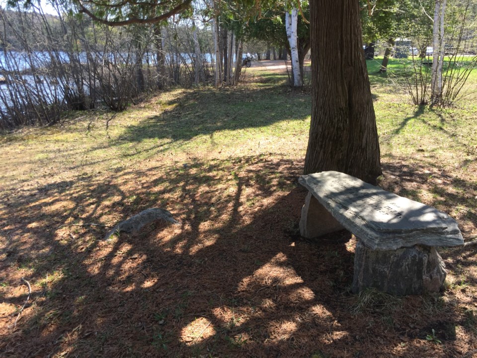 USED 2019-05-16goodmorning  4 Memory bench Trout Lake. Photo by Brenda Turl for BayToday.