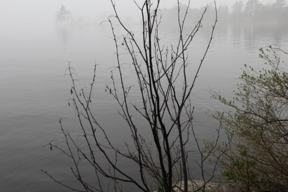 USED 2019-05-30goodmorning  4 Fog on the lake. Photo by Brenda Turl for BayToday.