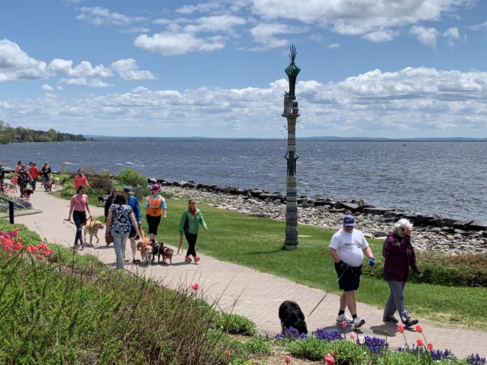 USED 2019-06-13goodmorning  5 Dogs and walkers at the waterfront. Photo by Brenda Turl for BayToday.
