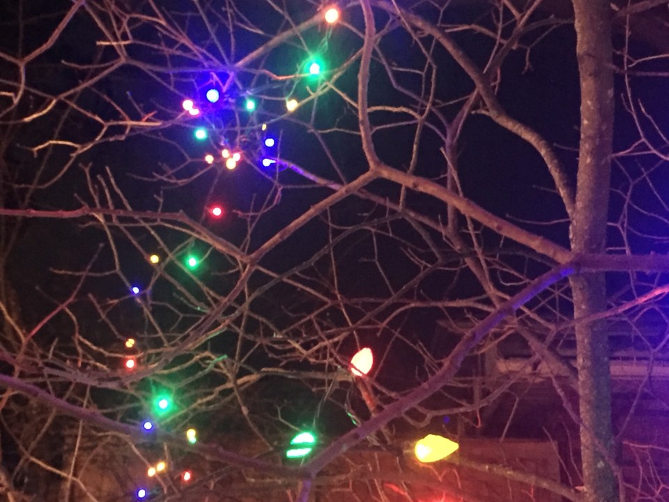 USED 2019-12-19goodmorningnorthbaybct 2  Seasonal lights. North Bay.Photo by Brenda Turl for BayToday.