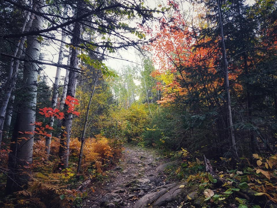 USED 2020-10-5goodmorningnorthbaybct  3  The trail to Devilès Rock. Temiskaming Shores. Courtesy of Rob Stewart.