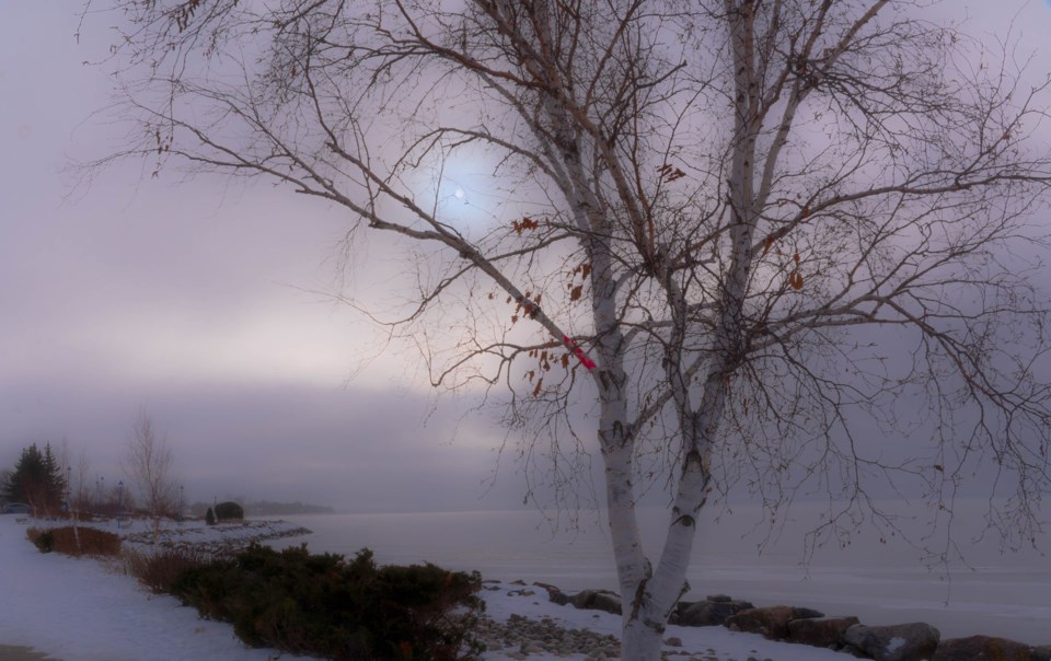 USED 2020-12-21goodmorningnorthbaybct 2 Birch at the waterfront. North Bay. Courtesy of Donna Febbo.