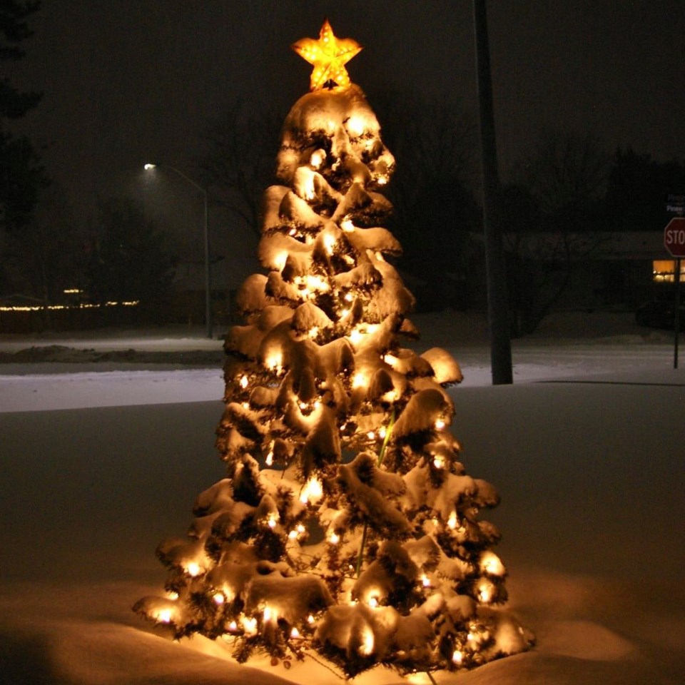 USED 2020-12-21goodmorningnorthbaybct  7 O Christmas tree. North Bay. Courtesy of Keith Campbell.