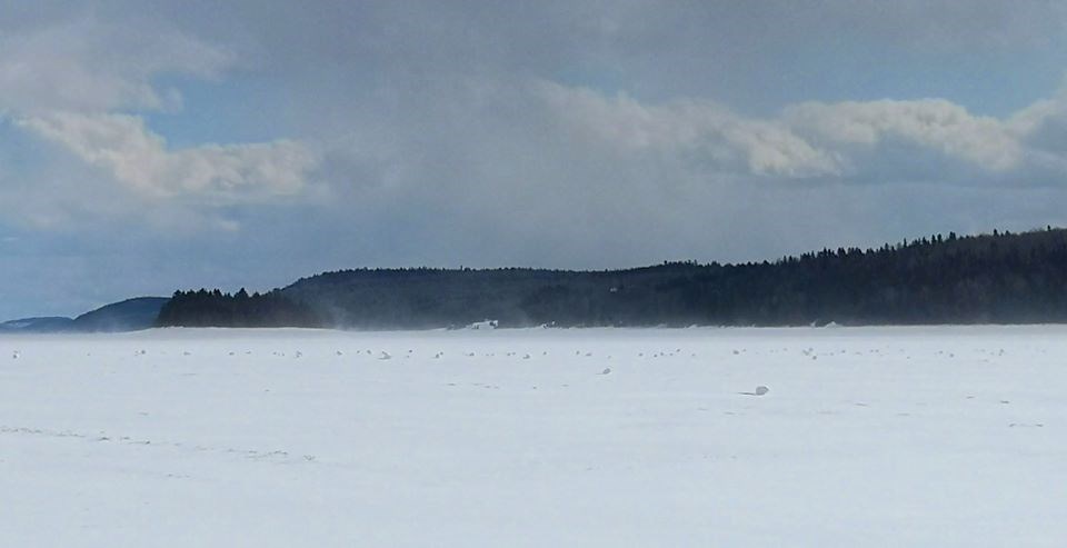 USED 2020-3-19goodmorningnorthbaybct  2 Snow rollers on Lake Temiscaming. Temiscaming Shores. Courtesy of John V. Brown.