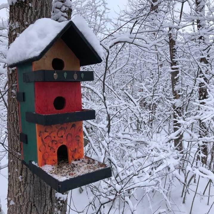 USED 2021-2-1goodmorningnorthbaybct  2 Chickadee home. North Bay. Courtesy of Judy Pennell Reid.