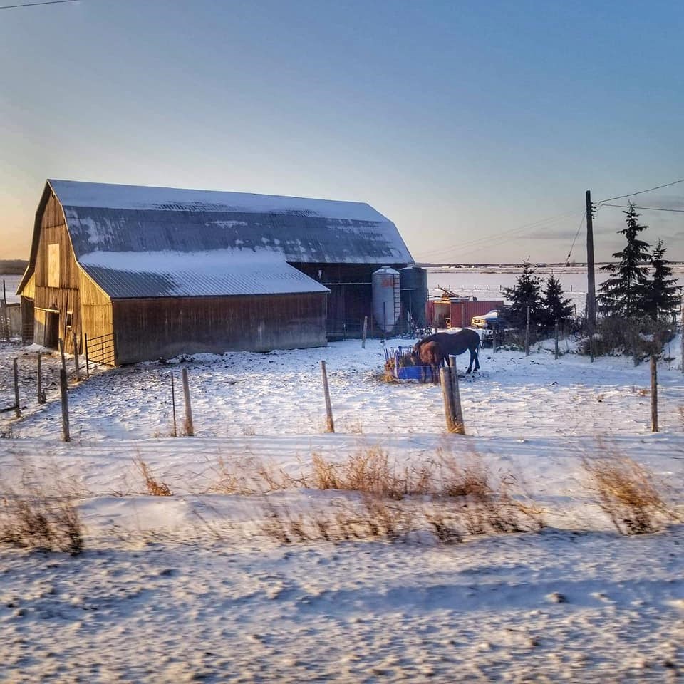 USED 2021-2-8goodmorningnorthbaybct  6 Winter on the farm. Temiskaming Shores. Courtesy of Rob Stewart.