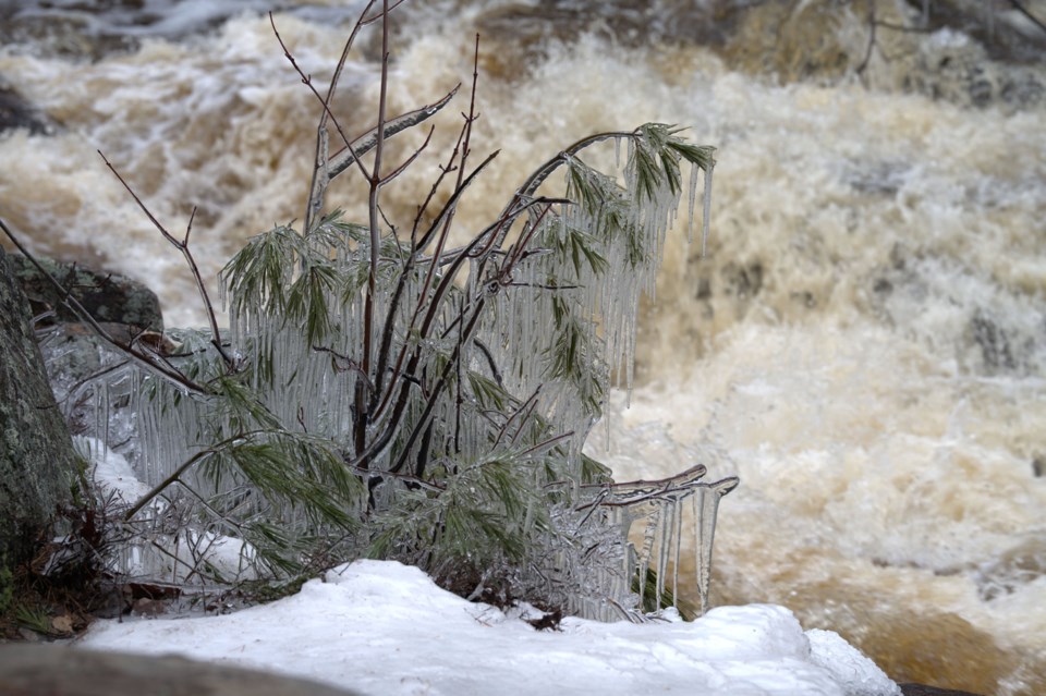 USED 2021-4-6goodmorningnorthbaybct  6 Ice crystals at the falls. North Bay. Courtesy of Les Couchi.