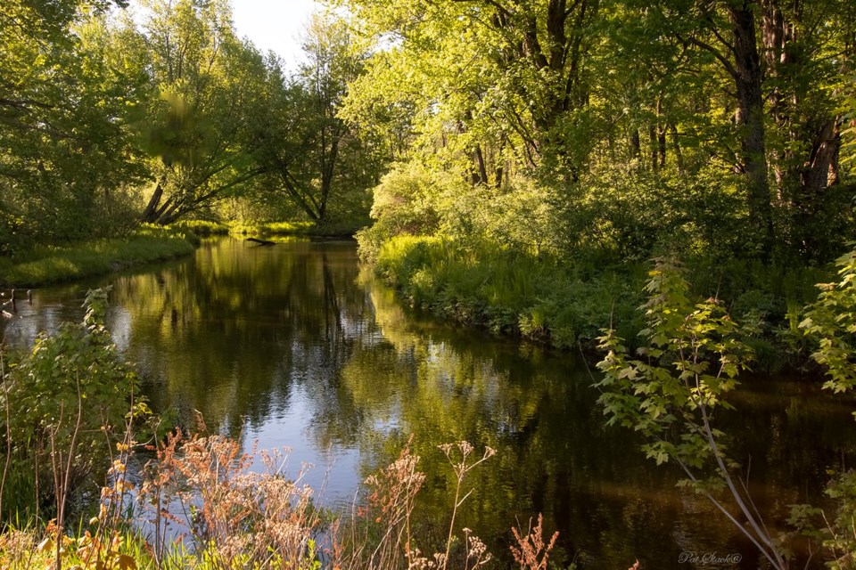 USED 2022-07-57goodmorningnorthbaybct  2 Wasi River on the way to Astorville. Courtesy of Pat Stack.