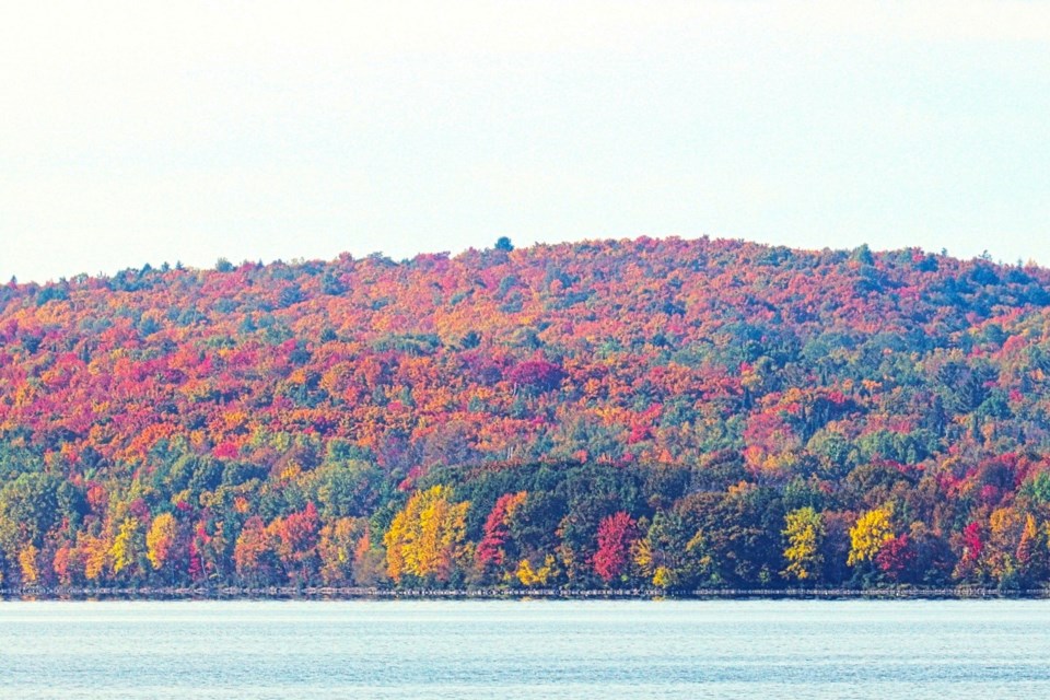 USED 2022-10-25goodmorningnorthbaybct-7-the-hills-are-alive-with-the-changing-colours-north-bay-courtesy-of-wallace-kearney