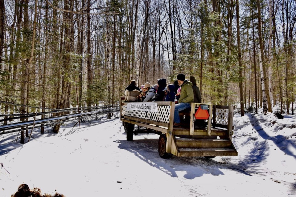 USED 2023-04-18goodmorningnorthbaybct-5-heading-out-on-the-maple-trails-powassan-linda-mccarthy