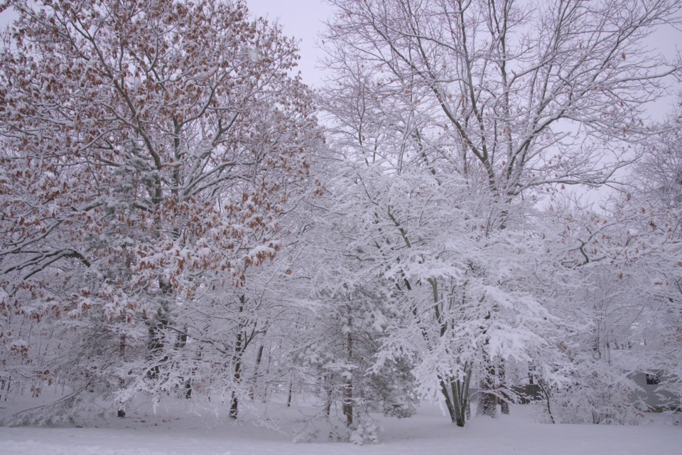 USED 2023-1-10goodmorningnorthbaybct-3-snowscape-north-bay-courtesy-of-les-couchi