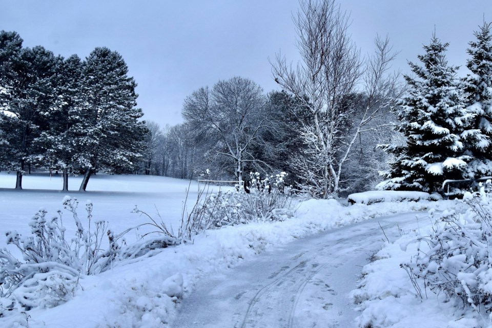 USED 2023-1-31goodmorningnorthbaybct-2-winter-wonderland-entrance-to-highway-bridge-chippewa-street-north-bay-submitted-by-linda-mccarthy