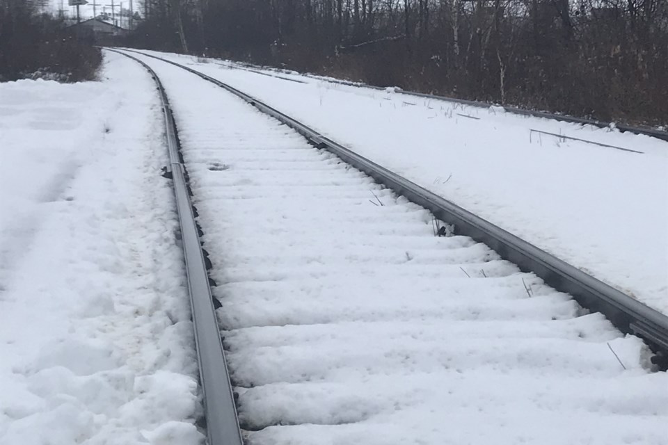 USED 2023-1-3goodmorningnorthbaybct-6-tracks-in-winter-north-bay-photo-by-brenda-turl-for-baytoday