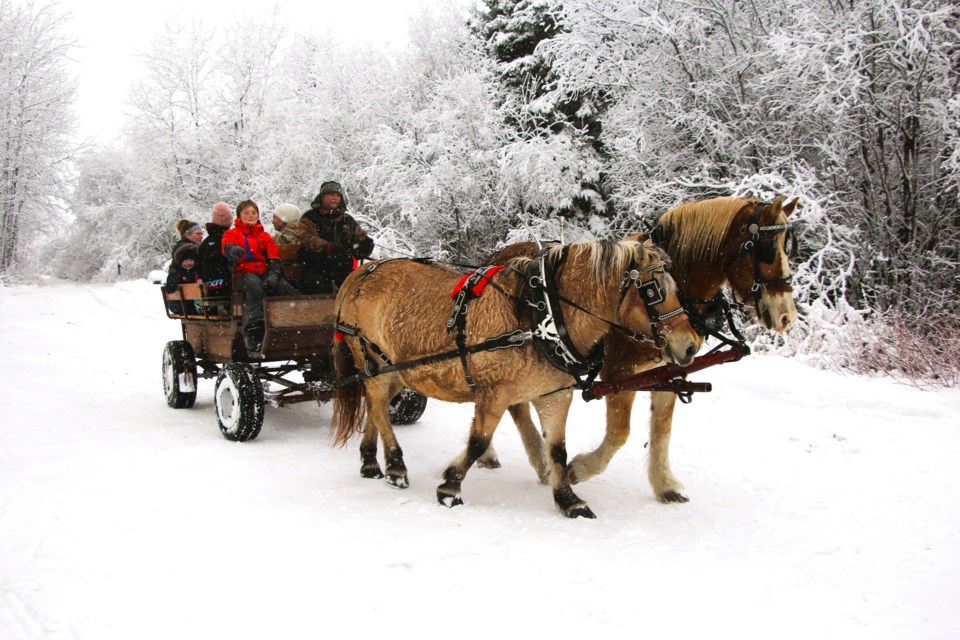 USED 2023-2-14goodmorningnorthbaybct-5-rides-by-dennis-peddie-hilliardtownn-marsh-research-and-education-centre-near-temiskaming-shores-courtesy-of-sue-nielsen