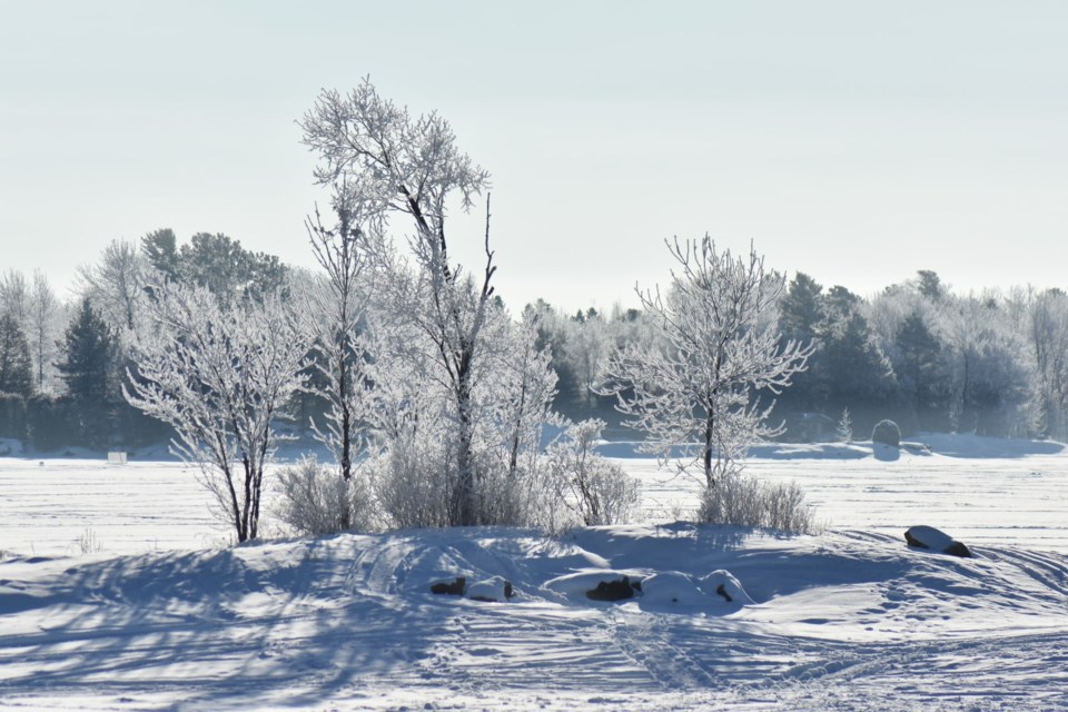 USED 2023-2-28goodmorningnorthbaybct-4-the-beauty-of-hoar-frost-north-bay-courtesy-of-janet-harvey