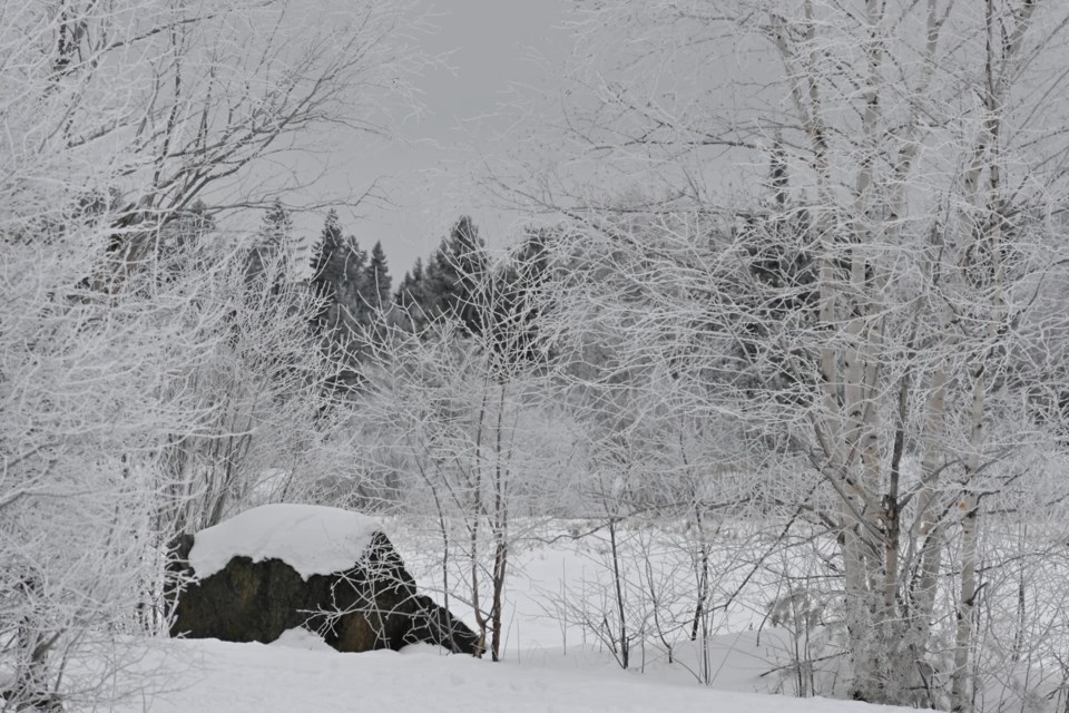 USED 2023-2-7goodmorningnorthbaybct-4-hoar-frost-along-the-levase-river-north-bay-courtesy-of-joanne-gravel