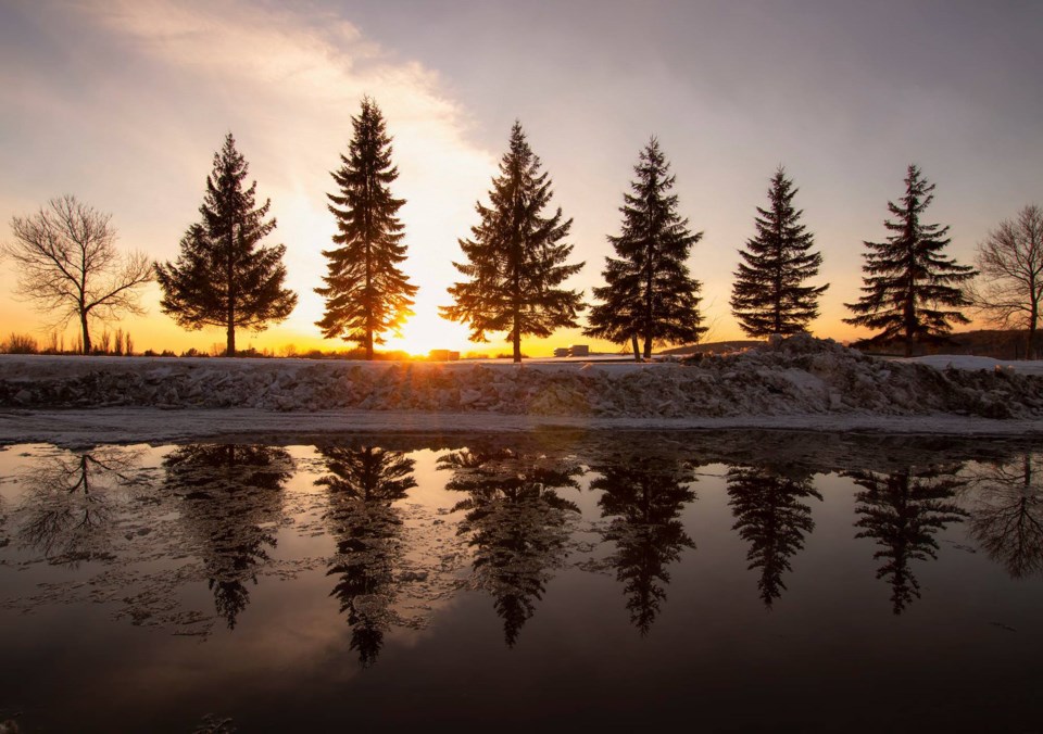 USED 2023-3-28goodmorningnorthbaybct-6-spring-reflections-north-bay-courtesy-of-pat-stack