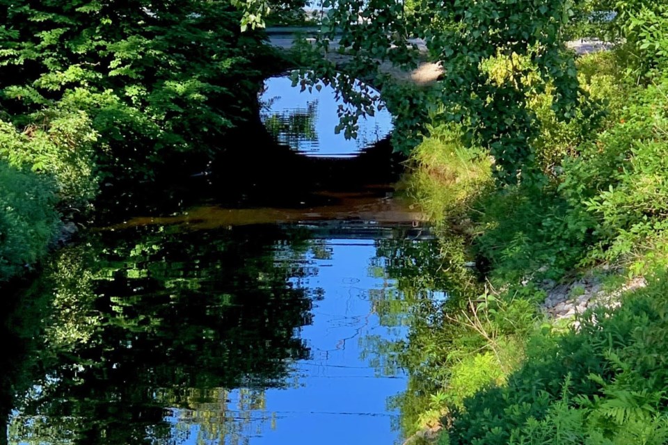 USED 2023-9-12goodmorninnature-makes-chippewa-creek-look-beautiful-north-bay-linda-mccarthy