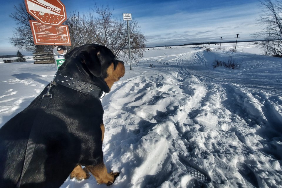 USED 2024-1-30goodmorningnorthbaybct-1-checking-out-the-ice-road-temiskaming-shores-robbie-stewart