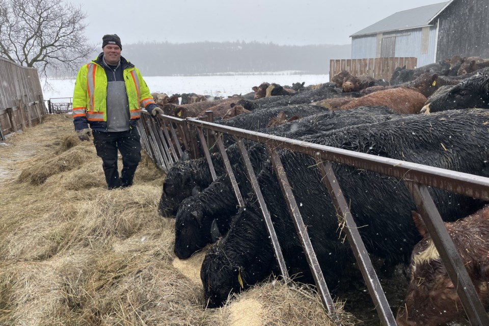 USED 2025-3-11goodmorningnorthbaybct-1-at-wand-family-farm-powassan-kathie-hogan