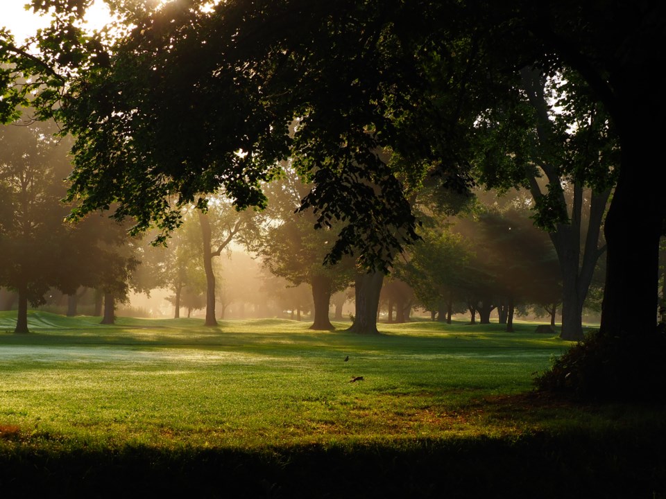 USED gm-july-9-golf-course-in-the-morning