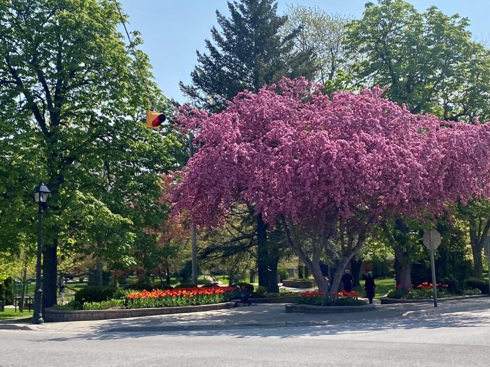 USED good-morning-may-21-entrance-to-simcoe-park