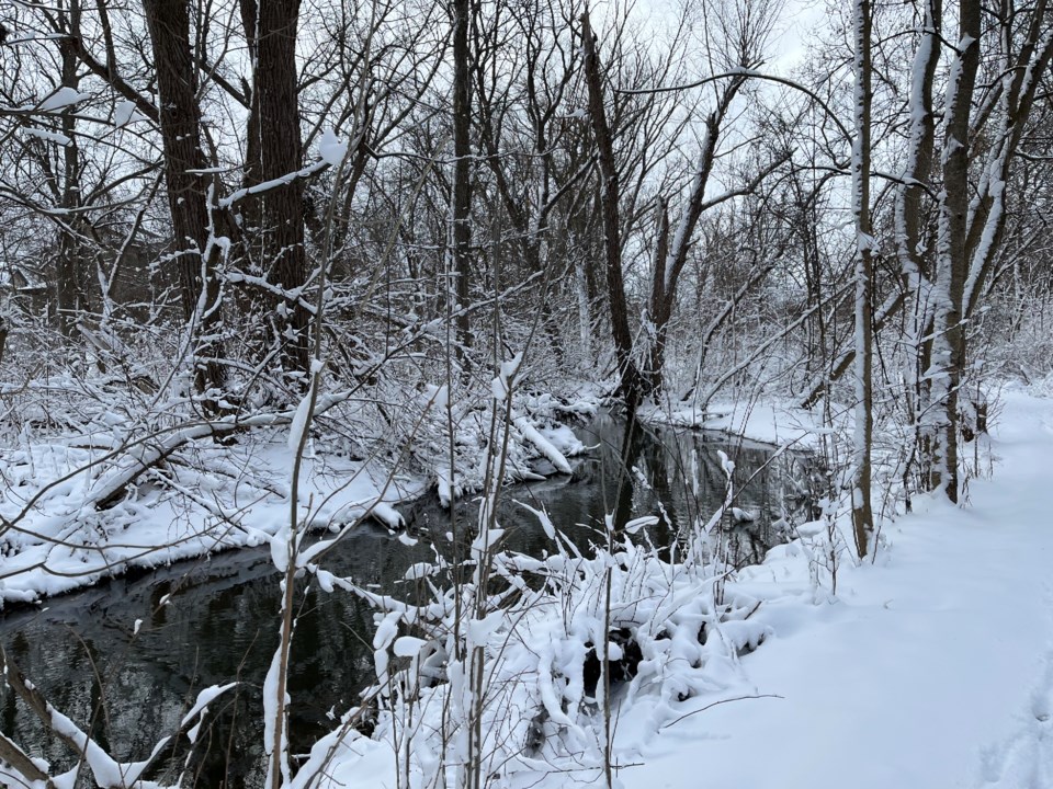 USED good-morning-two-mile-creek-in-the-snow-mike-b