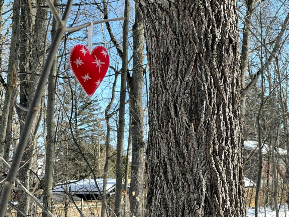 USED 2013-03-13-gm-heart-hung-from-branch-on-trail-margot