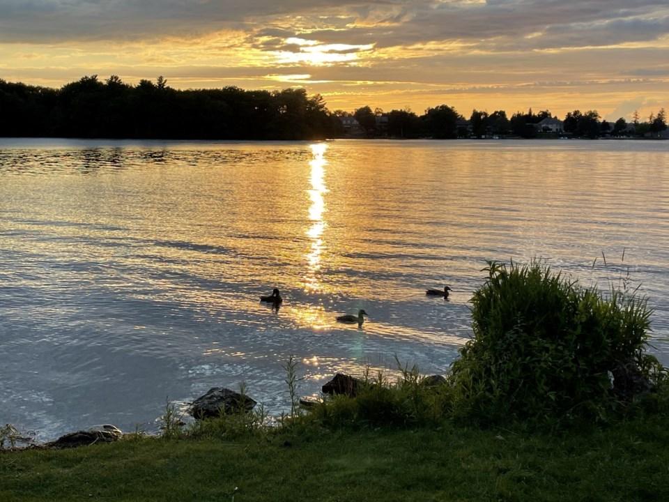 USED 2022-07-26 GM sunset tudhope ducks margot