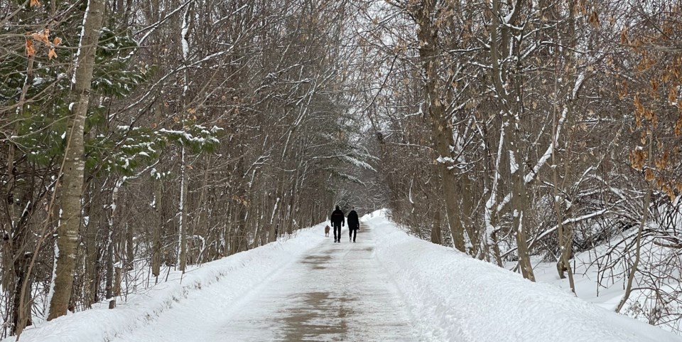 USED 2023-02-27-gm-winter-walk-on-trail-margot