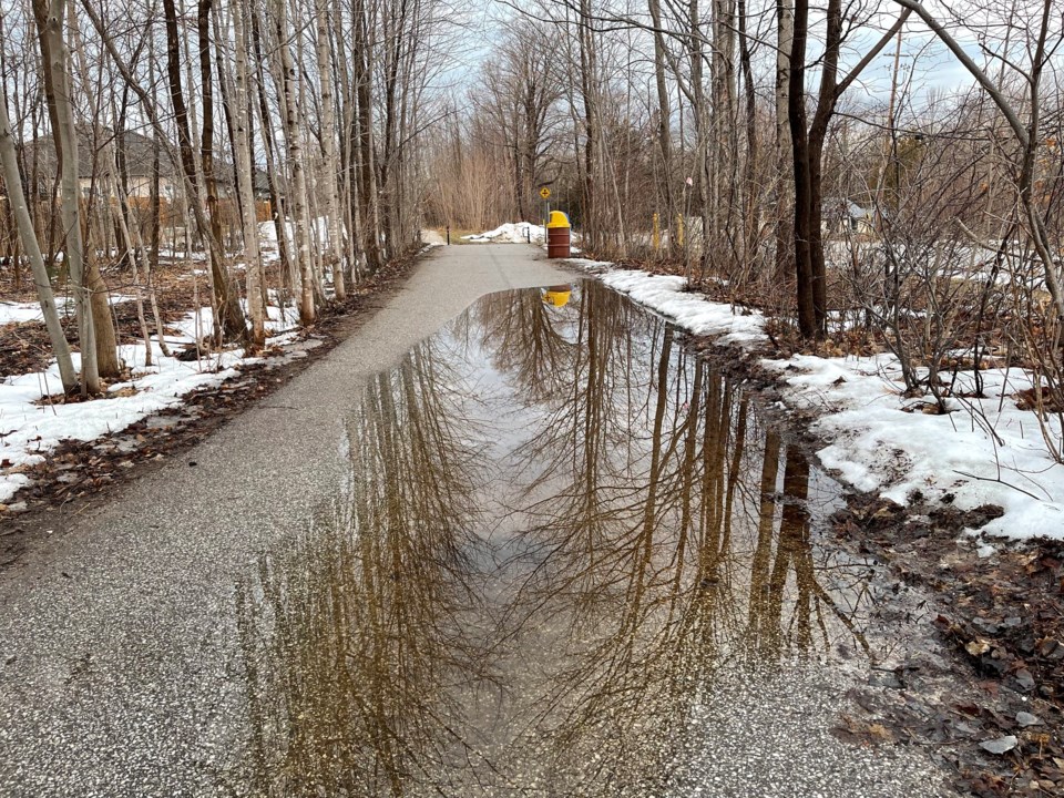 USED 2024-03-04-gm-giant-puddle-on-trail-reflects-trees-margot