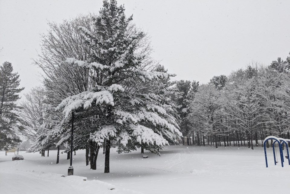 USED GM 2020-12-28 1 Homewood 3 snowy trees