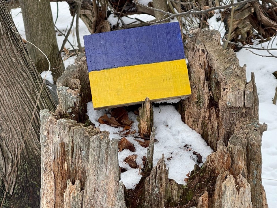 USED gm 2022-03-22 ukraine flag on tree trail margot