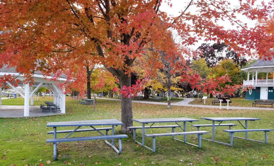 USED gm-2022-10-24-empty-picnic-tables-fall-at-cooch-park-jolla
