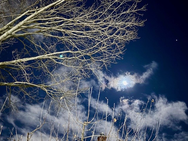 USED 20250121-img_6112-ac