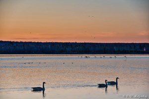 Good morning, Sault Ste. Marie! Here's today's weather!