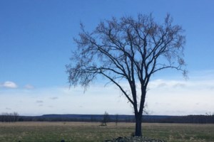 Good morning, Nickel City! Here are stories to start your day