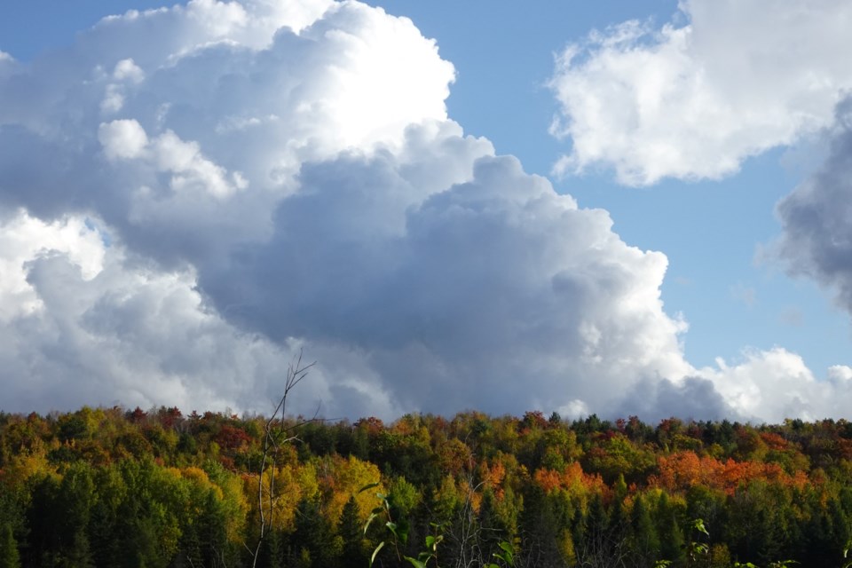USED 101023_linda-derkacz-fall-colours-fluffy-clouds