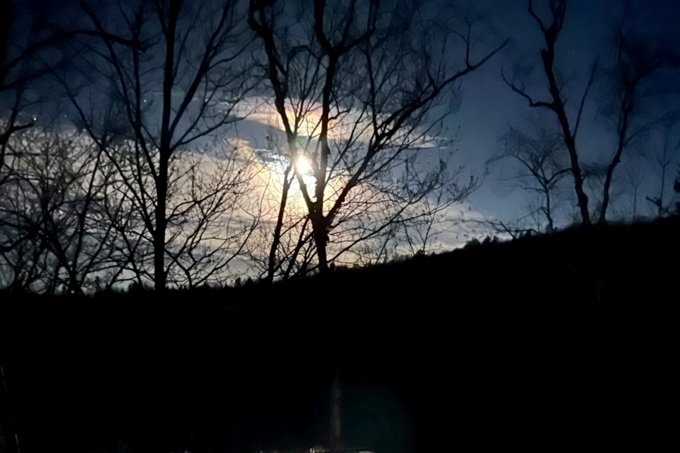 USED 250424_janet-villeneuve-early-morning