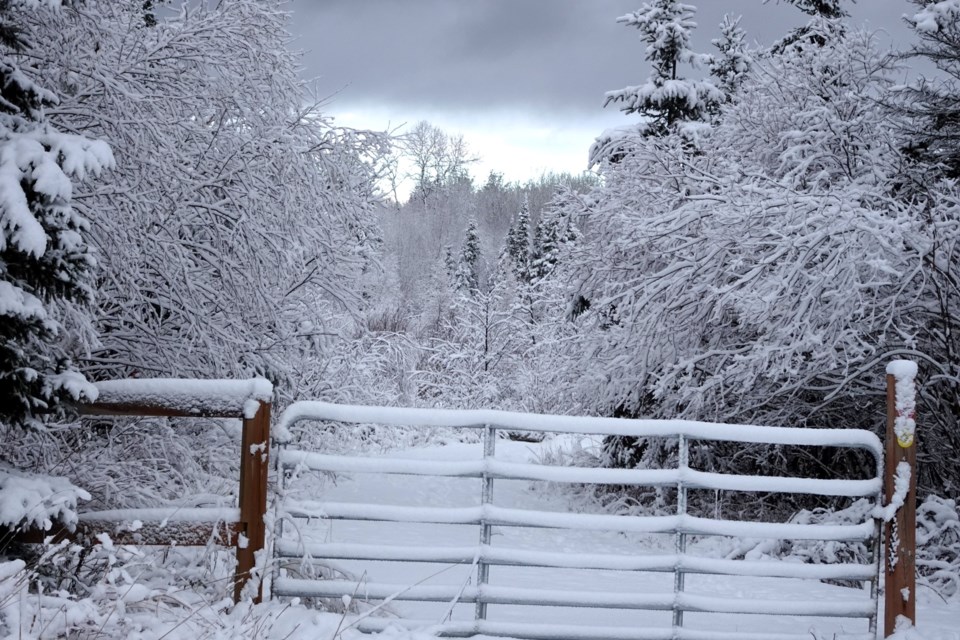 USED 271123_linda-derkacz-snowfall-fence