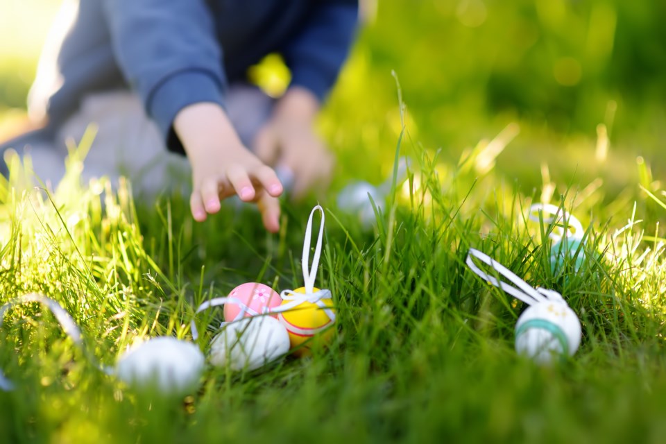 Easter eggs AdobeStock_317661161