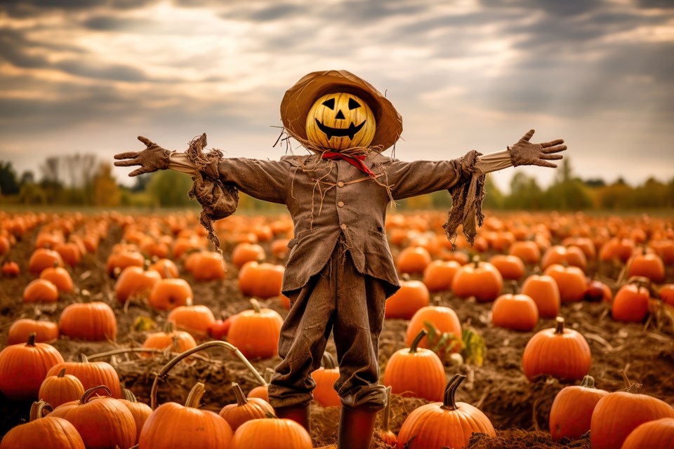 scarecrowadobestock_622349078