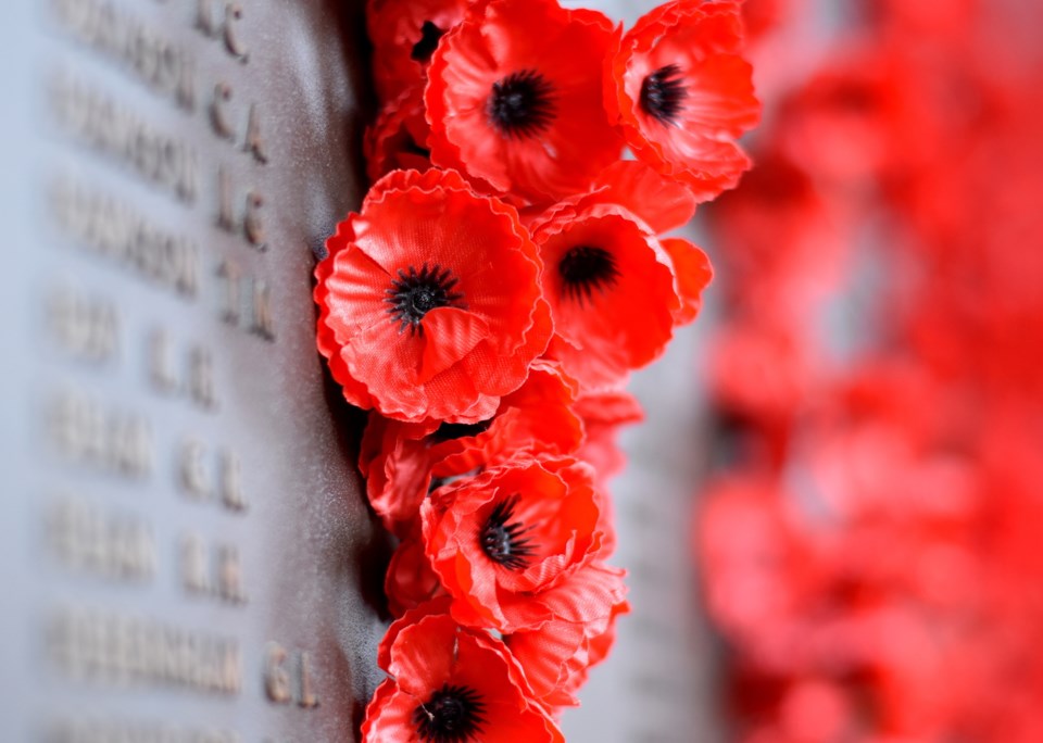 remembrancedayadobestock_143254633