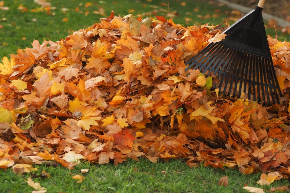 Curbside leaf and yard waste collection in townships to begin April 19 ...