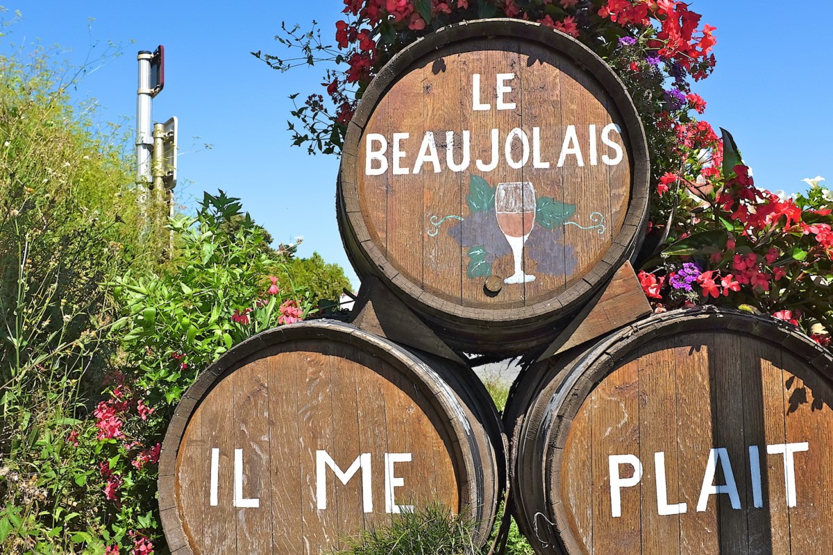 Whatever happened to Beaujolais? - North Bay News