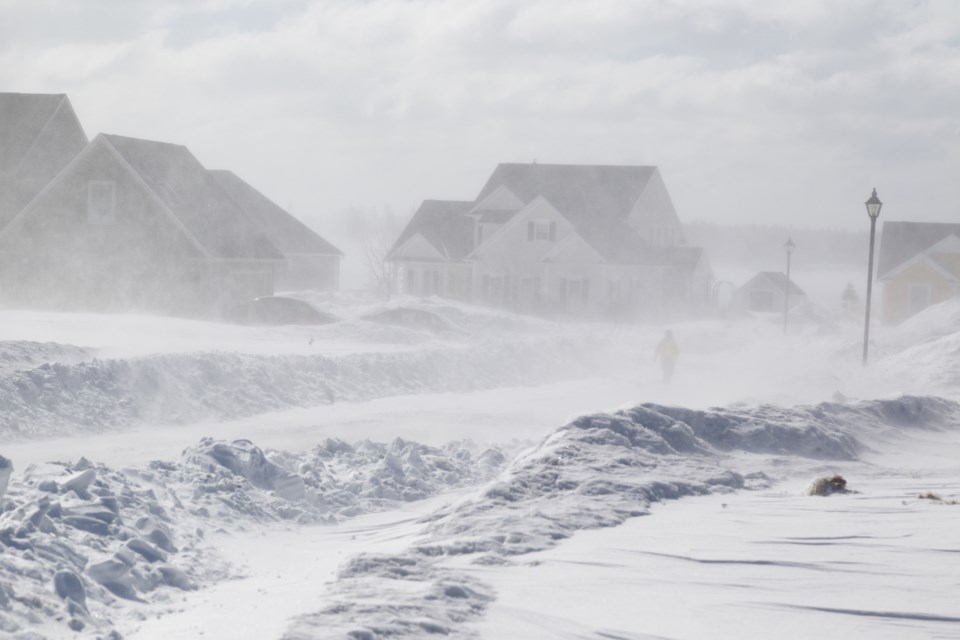 blizzard snow storm winter