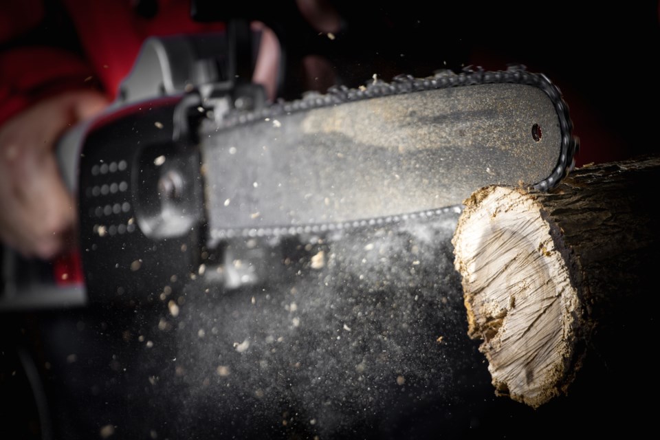 chainsaw logging lumberjack